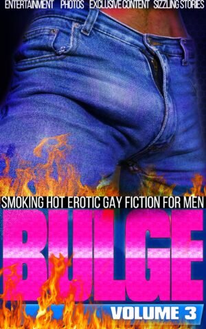 Bulge - V3 - Smoking Hot Erotic Gay Stories